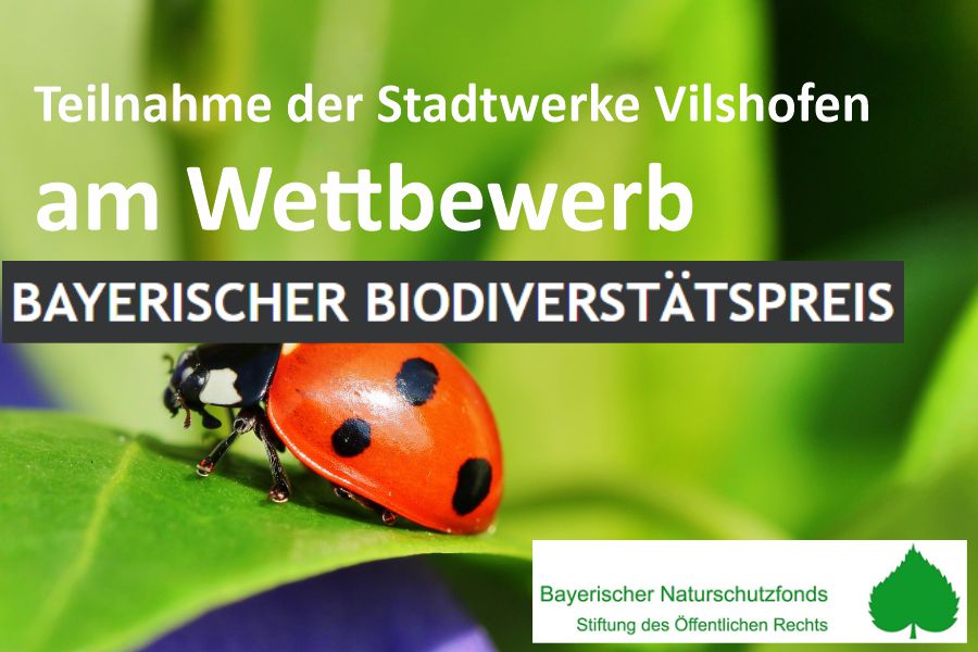 Teilnahme am Wettbewerb – Bayerischen Biodiversitätspreis 2020